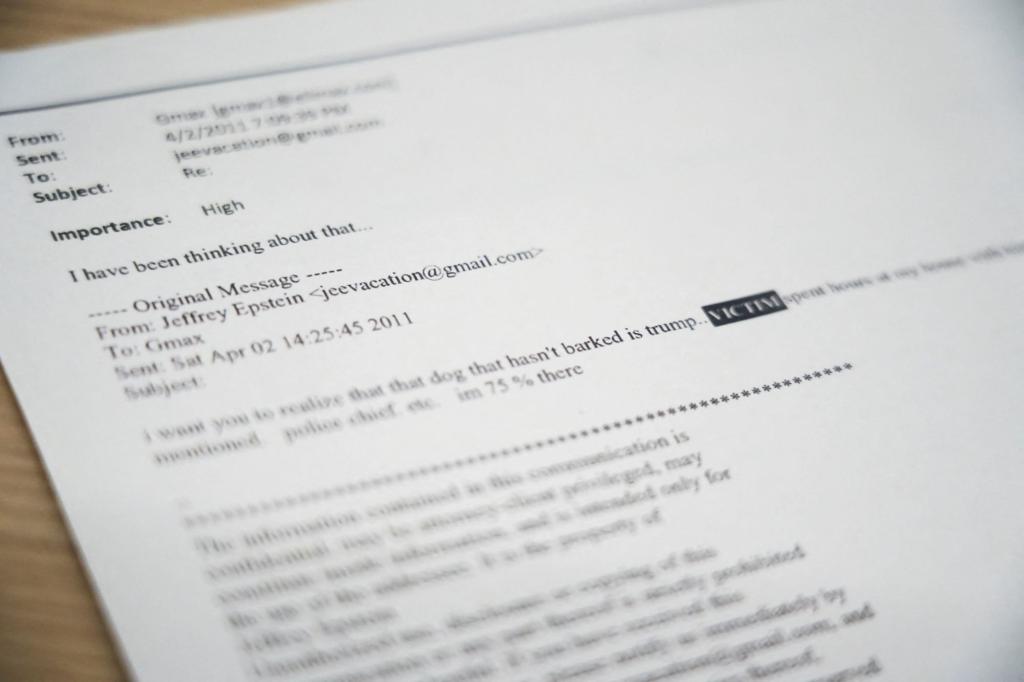 Epstein emails: The Dems and their lapdogs with laptops cry Wolff again