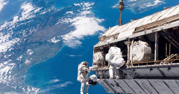 Ex-wife of Anne McClain pleads guilty in space crime case