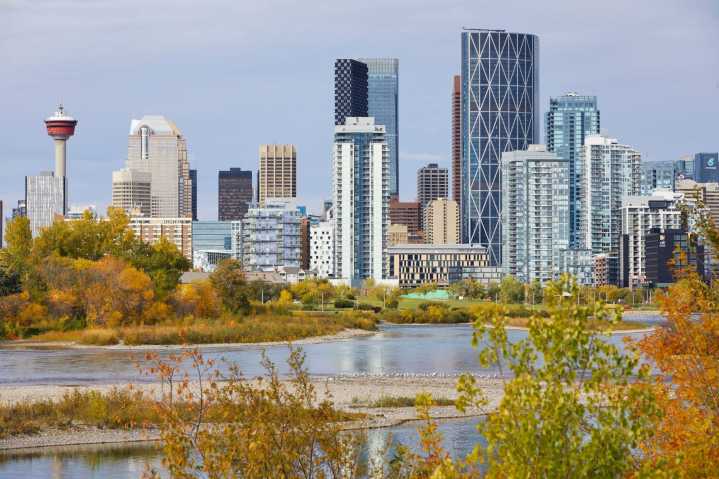 8 incredible things to do in Calgary this weekend: Nov. 7 to 9
