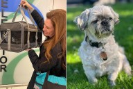 Woman Regrets Cloning Late Dog for $50K While Under 'Profound Grief' (Exclusive)