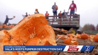 Vala's hosts 'Pumpkin Destruction Day'