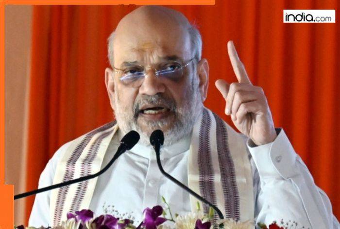 Bihar Elections: 'Den of infiltrators...'; Amit Shah's BIG attack on Mahagathbandhan, says Rahul, Tejashwi will make Seemanchal...