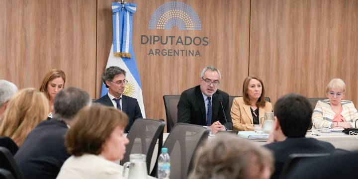 Fentanilo mortal: la comisión especial de la Cámara de Diputados analiza la mayor reforma sanitaria en 30 años