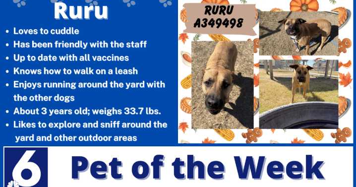 Pet of the Week: Ruru
