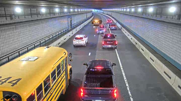 Wrong-way rover: Dog is rescued from a busy Boston tunnel during rush hour