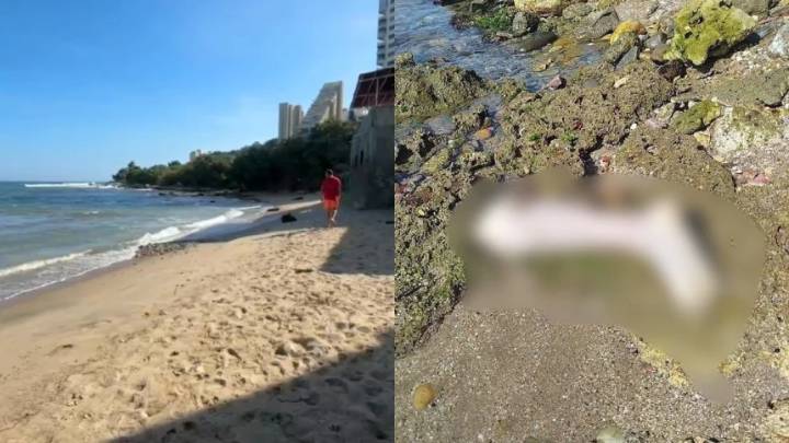 Escalofriante hallazgo de restos humanos en La Guaira causa alarma cerca de popular restaurante