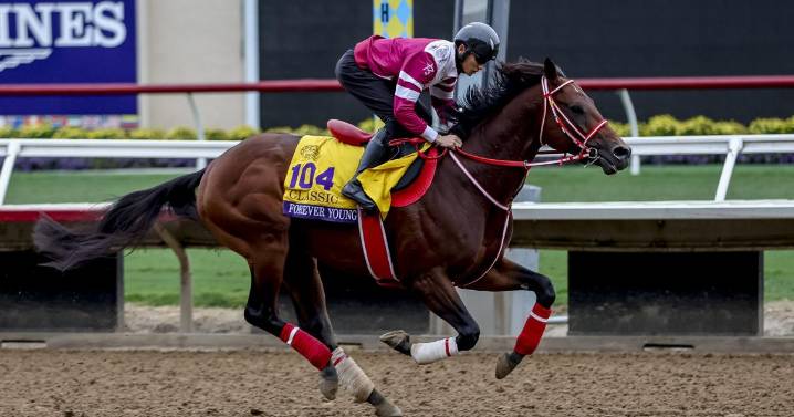 Post Time: Breeders' Cup Classic field has plenty to prove