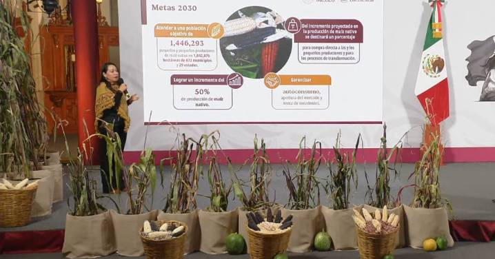 Lanza Gobierno federal plan para proteger y fortalecer el cultivo del maíz nativo