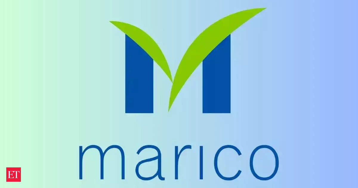 Marico’s Beardo, True Elements, Studio X and Pure Sense push digital portfolio past ₹1,000
