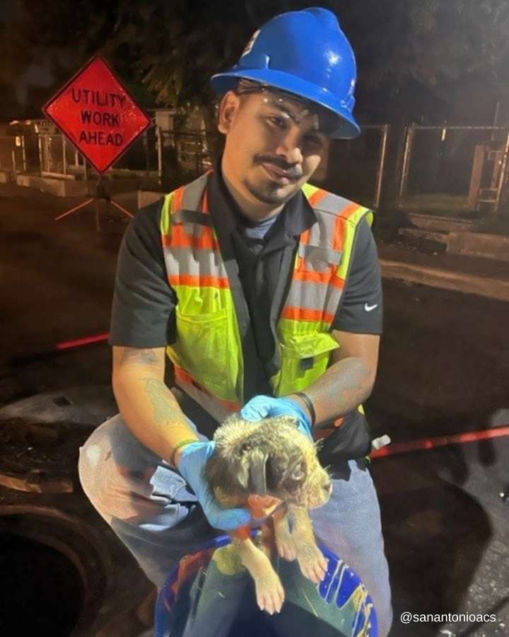 Texas Community Rallies As Firefighters And City Workers Unite To Rescue Sewer Puppy