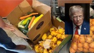 Trump Administration to Fund Half of November SNAP Benefits with Depleted Contingency Reserves Amid Shutdown Crisis
