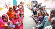 Bihar polls: Record voter turnout triggers guessing game — will it help or hurt Nitish Kumar?
