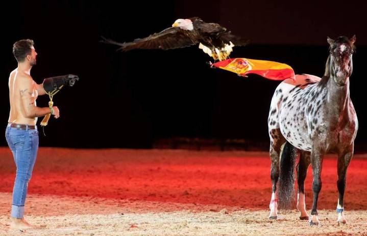 San Juan de Aznalfarache invita a sus vecinos al SICAB con entradas y autobús gratuitos