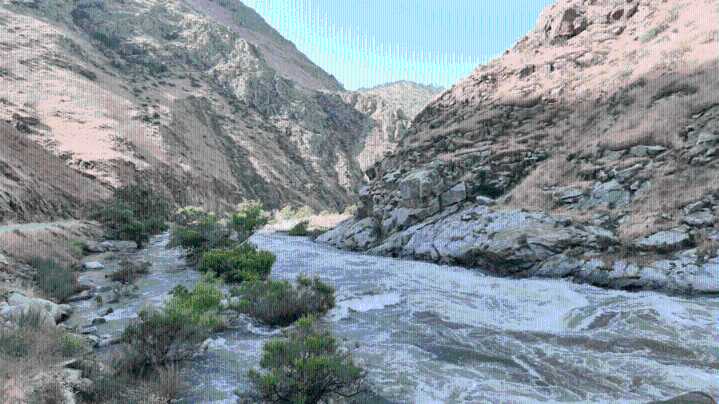 Plan to restore over 600 acres of Kern River habitat involves planting over 100,000 trees, shrubs