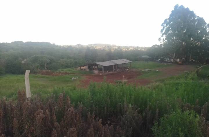 Sin agua y sin luz: desesperado pedido de una decena de familias que luchan por servicios básicos