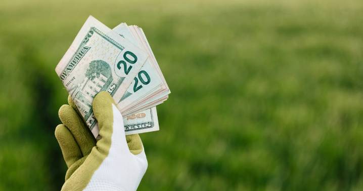 El dinero verde que aún no alcanza