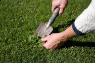 Referencia de cálculo. Cuánto cobran los caseros en noviembre