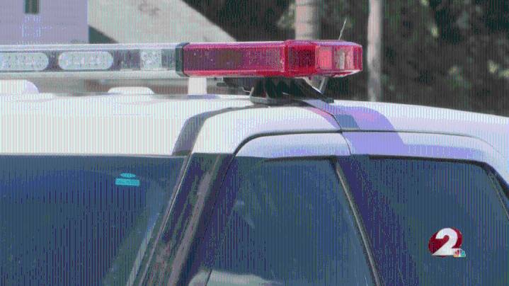 Heavy police presence in Springfield on Sunday morning