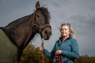 Horse breeder left ‘paranoid’ after neighbours complain about ‘constant neighing’