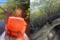 Video: así fue la peligrosa interacción de dos turistas con un cocodrilo en Tulum