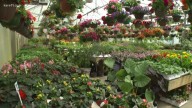 International Horticultural Expo coming to U.S. for first time with 6