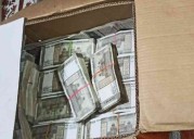 Punjab bypoll: Drugs, liquor, freebies valued at Rs 57.47 crore seized