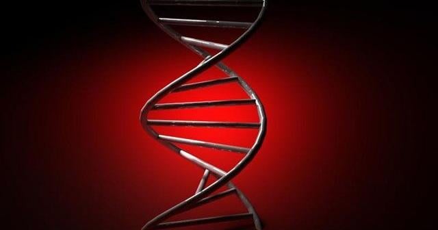 James Watson, co-discoverer of the double-helix shape of DNA, has died at age 97