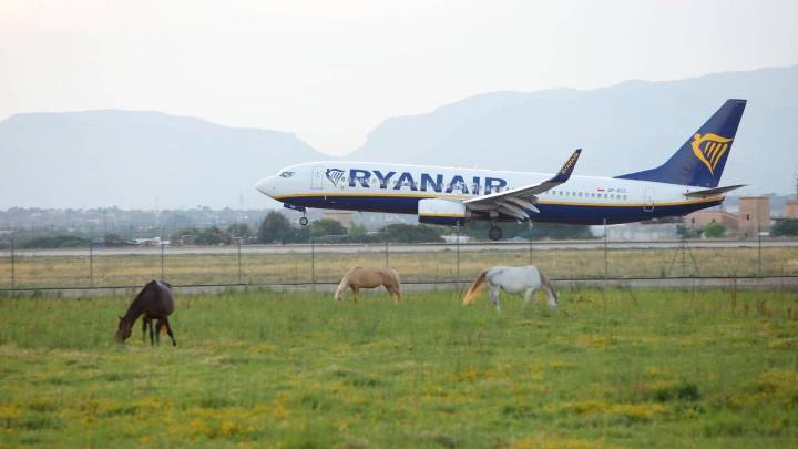 Apuntan con un láser a la cabina de un avión de Ryanair en plena maniobra de aterrizaje en el aeropuerto de Palma