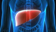 India A Pioneer In Living Donor Liver Transplantation