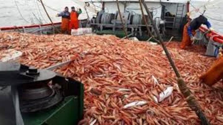 La actividad económica subió en septiembre A partir de los datos que fueron difundidos por el INDEC, trece de los sectores de actividad que conforman el indicador registraron subas.