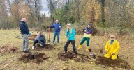 Eugene volunteers plant trees to honor troops on Veterans Day