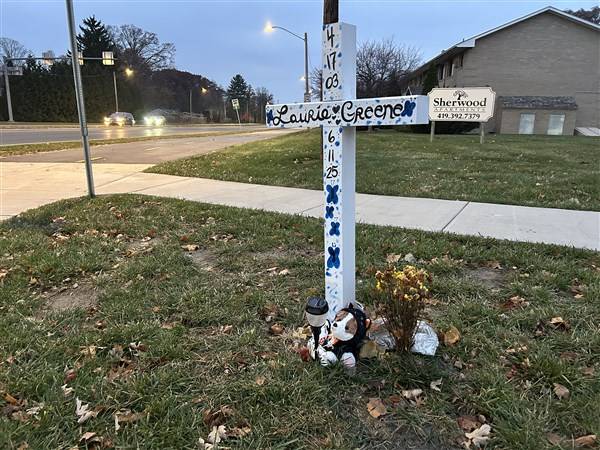 Man pleads guilty to charges from fatal A.W. Trail crash