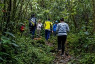 Así fue como se perdieron ocho senderistas en La Estrella, de nuevo, en El Romeral