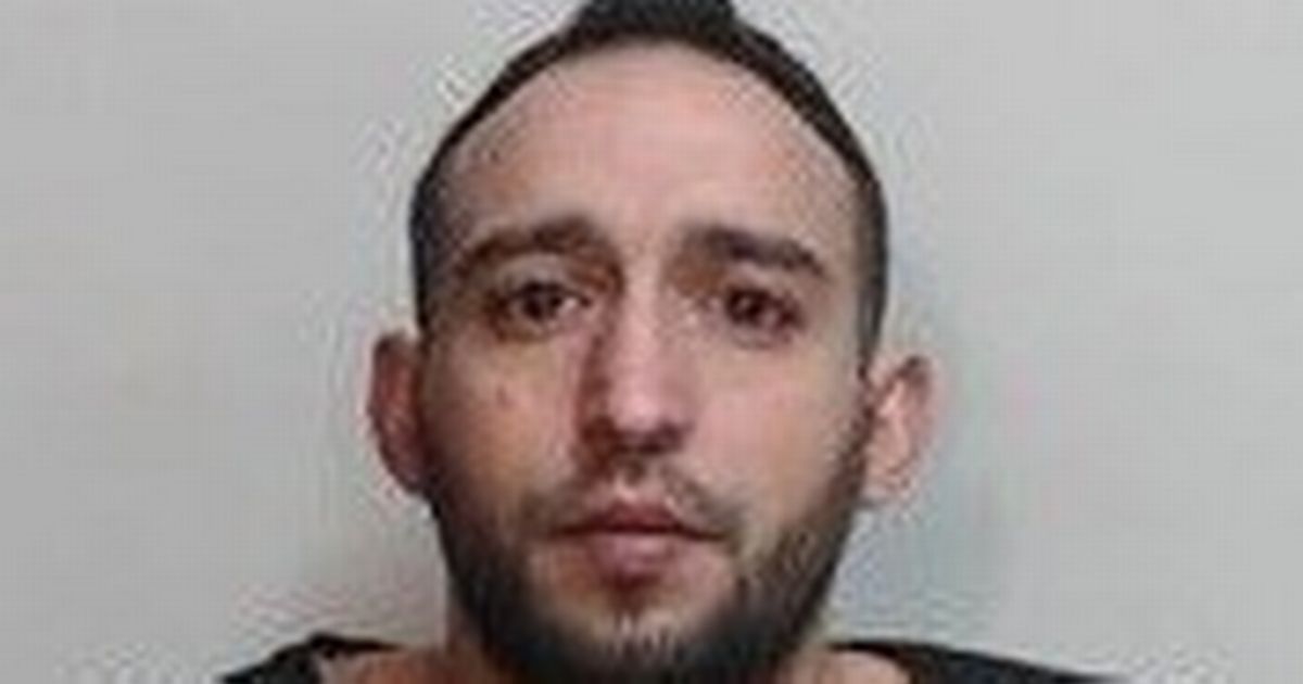 Brave victim praised for 'strength and bravery' as sex attacker jailed