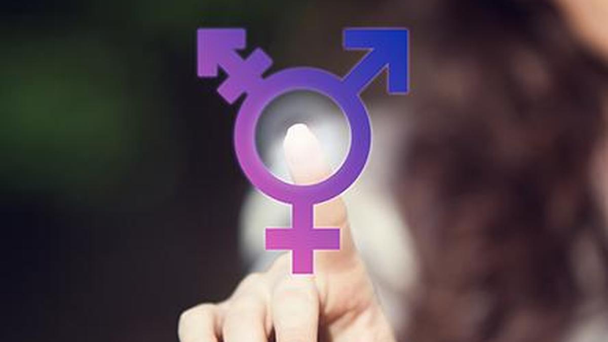 Why transgender persons should not be allowed to adopt children: Madras HC