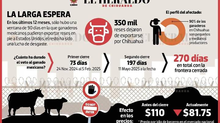 A un año del cierre de la frontera: Sin exportar 350 mil cabezas de ganado, una pérdida de 500 millones de dólares