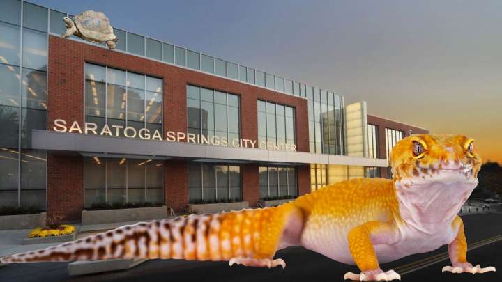 Slithering Into Saratoga! The Reptile Show Returns This November