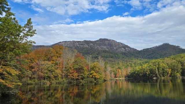 SC State Parks offer free admission and limited-edition stickers for Black Friday