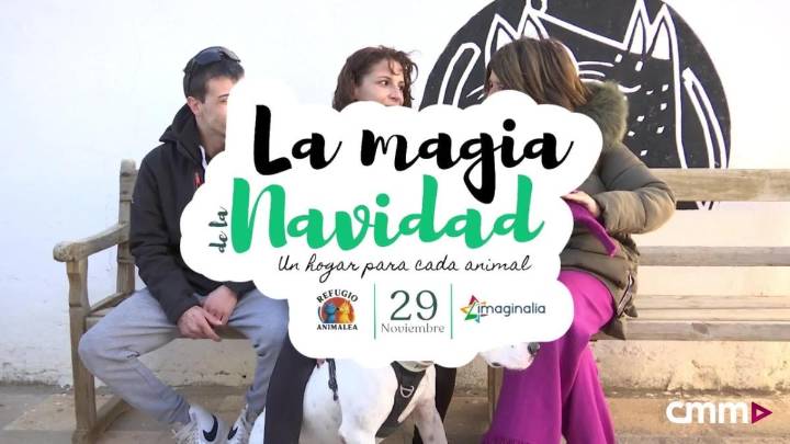 'La Magia de la Navidad', el evento solidario de Refugio Animalea en Albacete