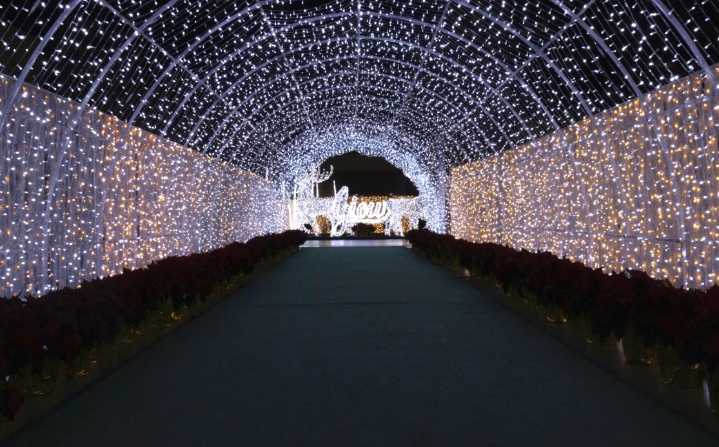 Keizer’s stadium will be aglow with new holiday festival