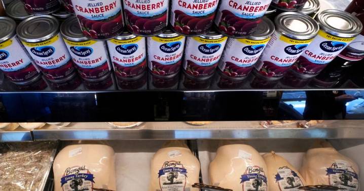 How much to buy, how to use leftovers, and other Thanksgiving tips to waste less food and money