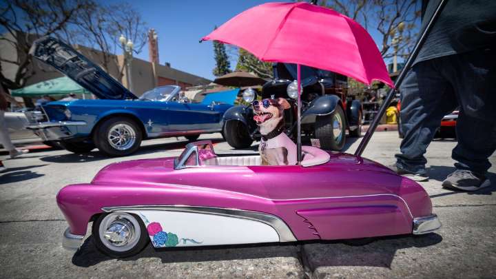 Culver City is latest to consider public drinking area for its downtown