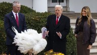 ESTADOS UNIDOS | Trump indulta a los pavos Gobble y Waddle por Acción de Gracias y bromea con anular los perdones otorgados por Biden