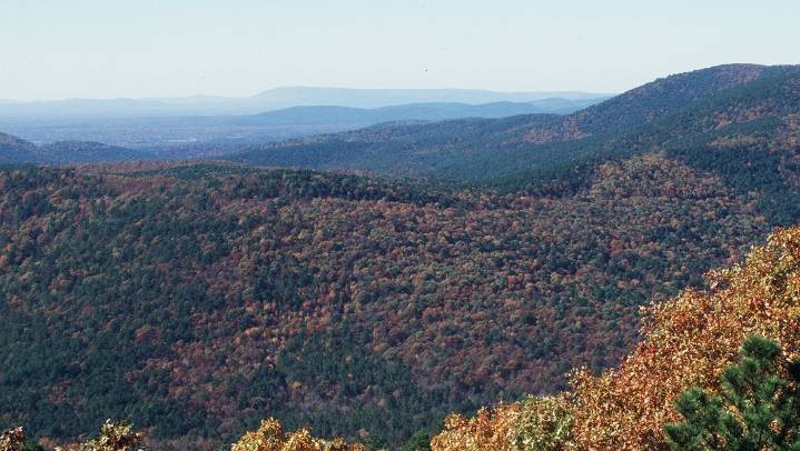What is the most beautiful drive in the South? See this Alabama route