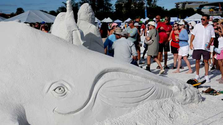 5 best fun and free things to do in Sarasota area this weekend