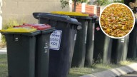 City of Melville residents may receive extra bin to help keep streets clean
