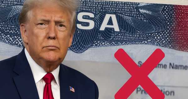 La visa y el pasaporte no van más: Estados Unidos permite la entrada legal al país a todos los extranjeros que tengan este papel
