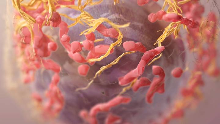 Scientists are figuring out how to make cancer cells self