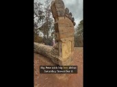 Big Pete with Big Feet: Massive sculpture displayed in Charlotte's River District