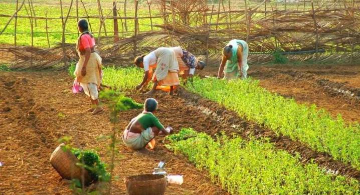 Centre steps in to protect Fertilizer Supply; Crackdown across India